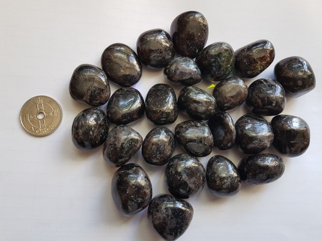 Hovedbilde astrophyllite