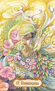 Hovedbilde Winged Enchantment ...