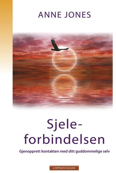 Hovedbilde Sjeleforbindelsen - Anne ...