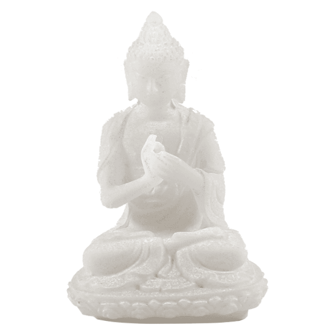 Hovedbilde Buddha statue Vairocana ...