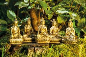 Hovedbilde Buddha i messing Amithaba ...