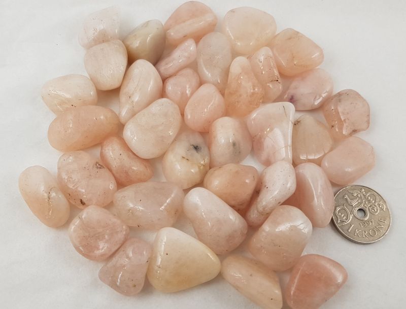 morganitt - morganite M