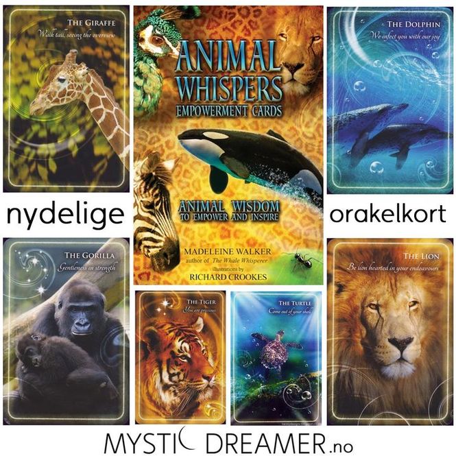 Hovedbilde Animal Whispers Empowerment ...