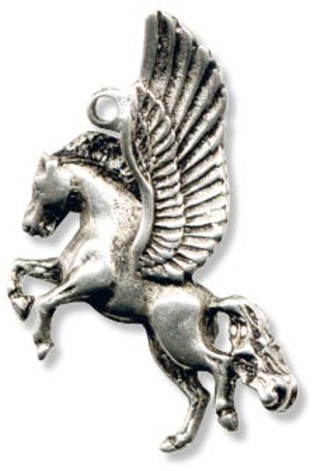 Hovedbilde Pegasus 2 anheng