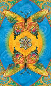 Hovedbilde Chrysalis Tarot