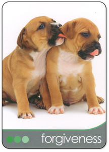 Hovedbilde Dog Wisdom Cards - Tony ...