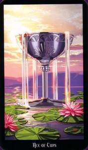 Hovedbilde Witches Tarot Set - Ellen ...
