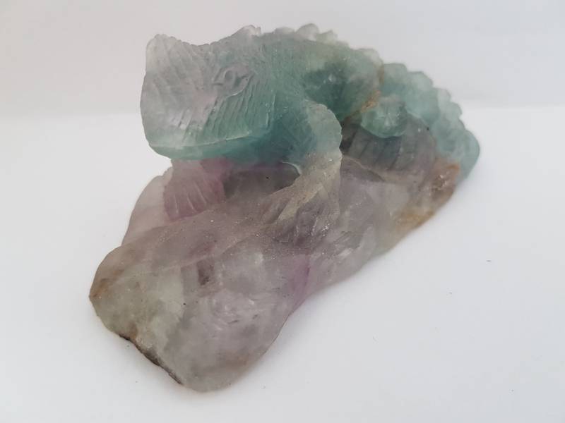 Fluoritt Firfisle - Fluorite Lizard