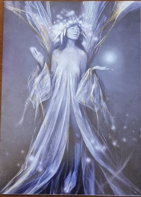 Hovedbilde Postkort- Brian Froud - ...