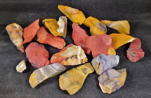 Hovedbilde mokaitt r&aring; biter 